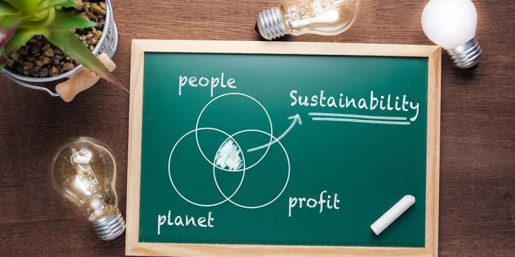 Illustration of Venn Diagram on chalboard with light bulbs