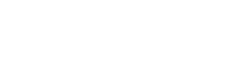 It Vizion Logo Wh logo