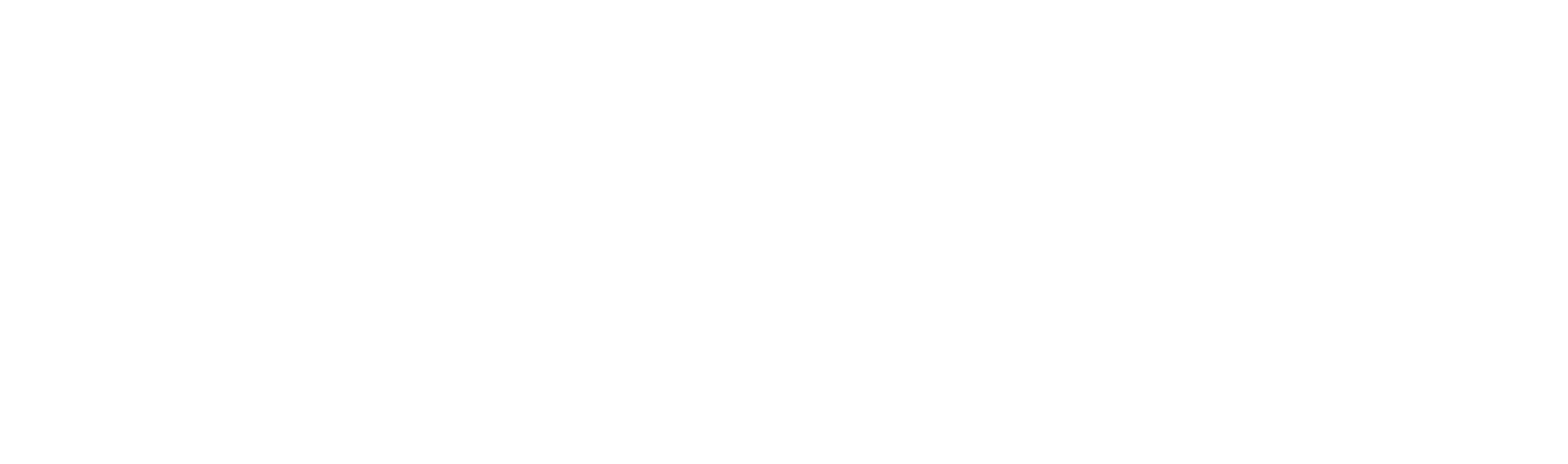Vertix Logo Wh logo