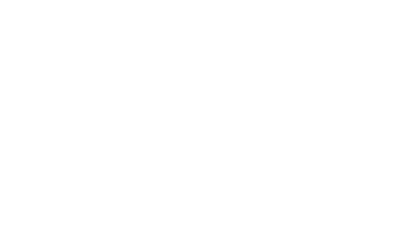 Denodo2 3 logo