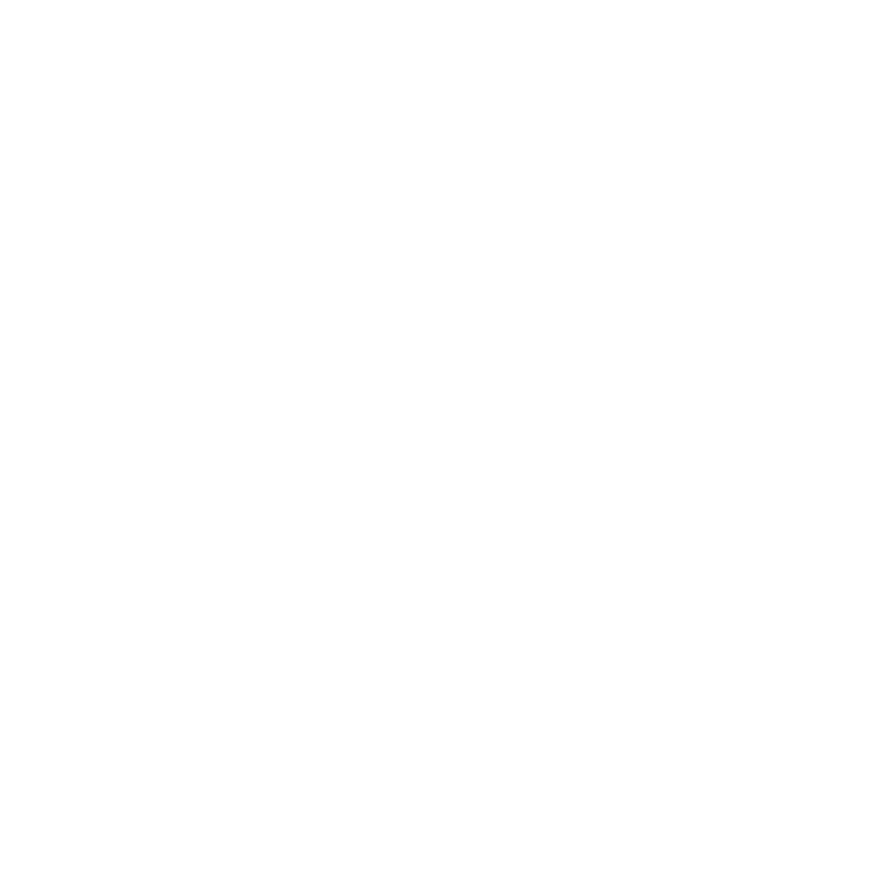 Conneqt Sponsor_silver Bko logo
