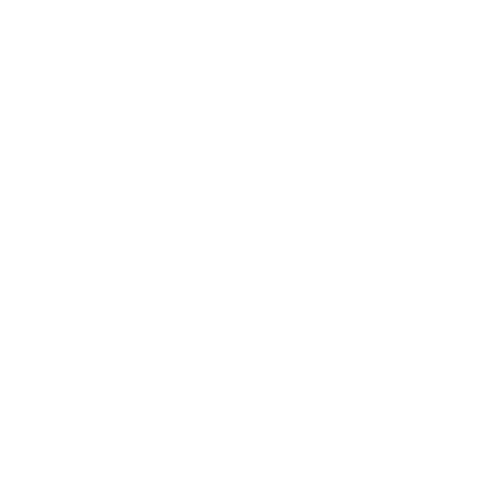 Conneqt Sponsor_silver Iota logo