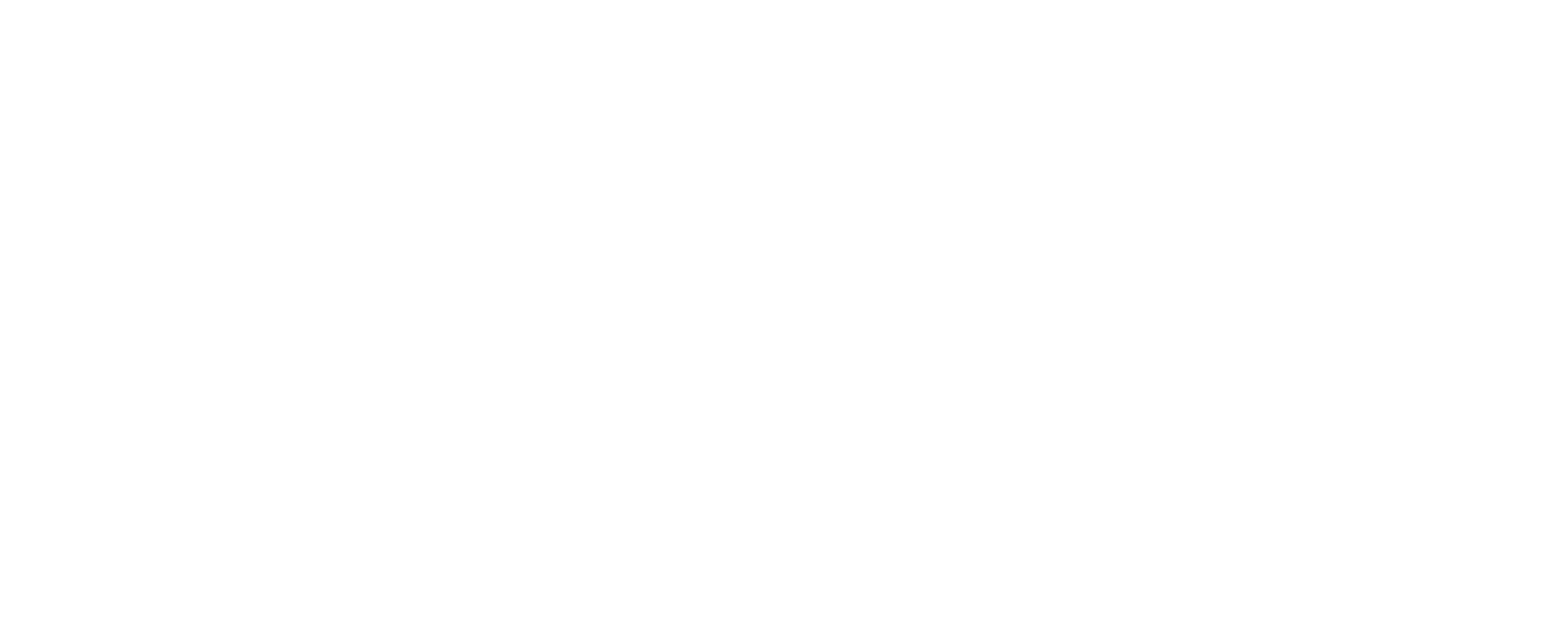 Ercot White Logo logo