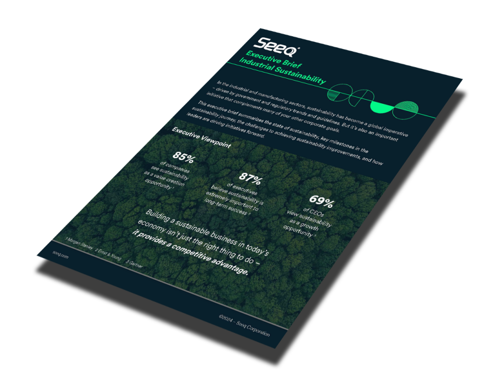 Seeq Executive Brief