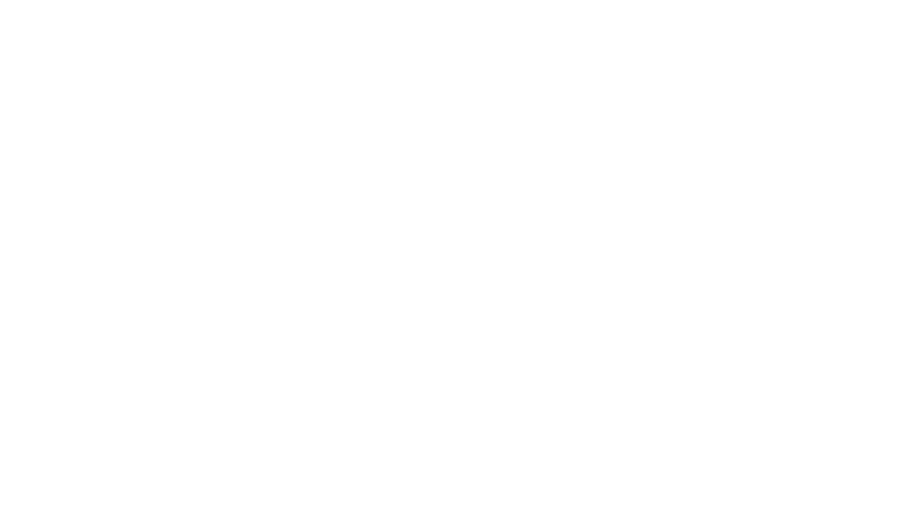 Bko Conneqt2025 Silversponsor1 2 logo