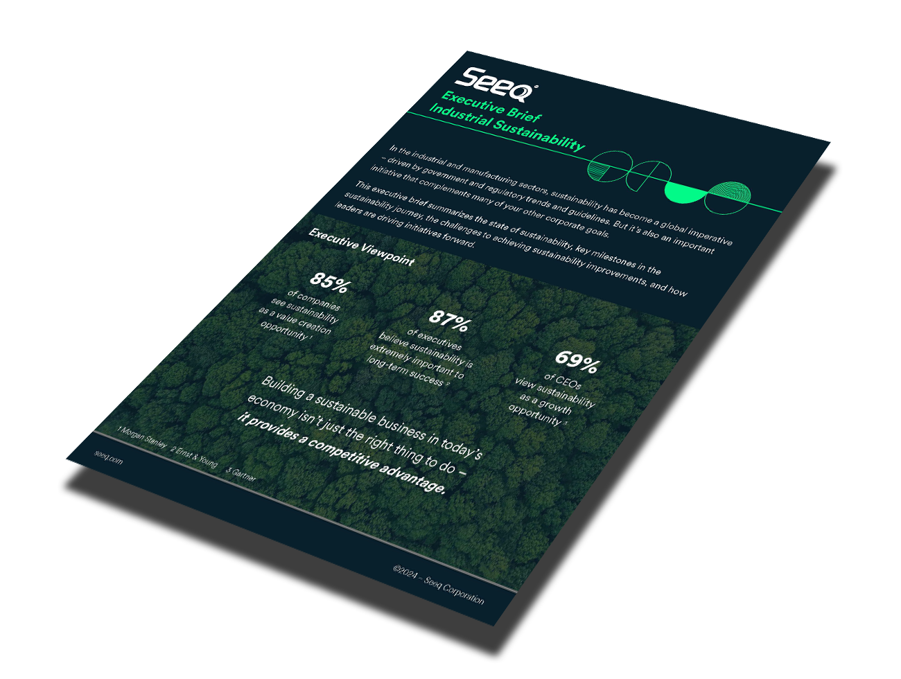 Seeq Executive Brief