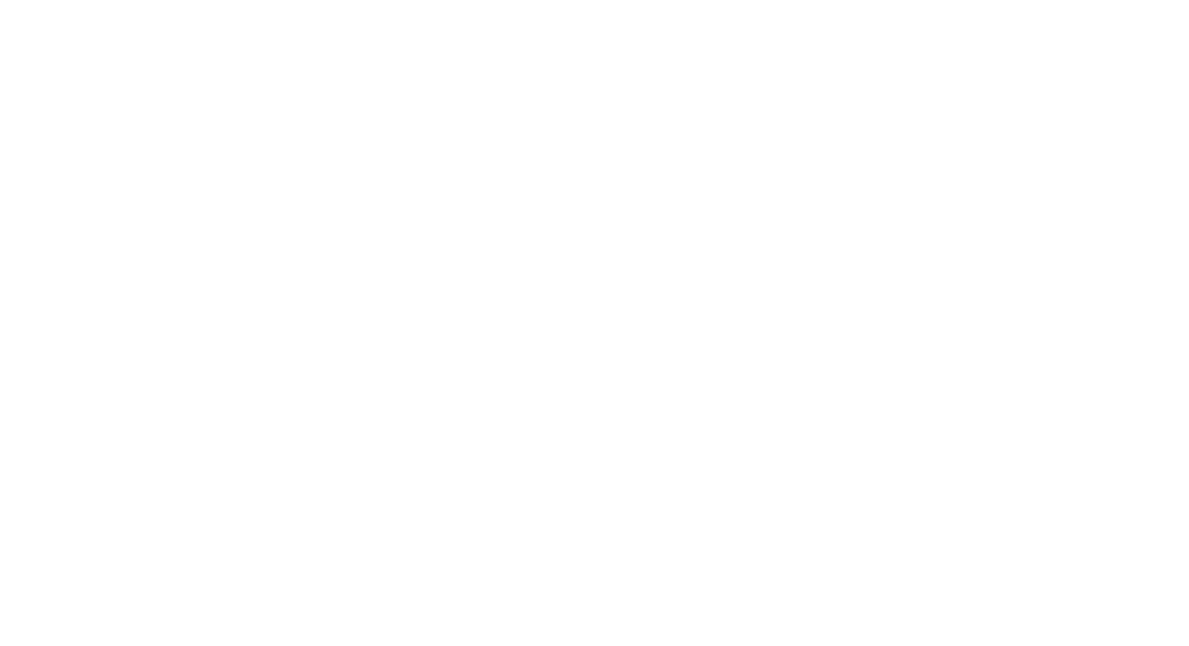 Pizer logo